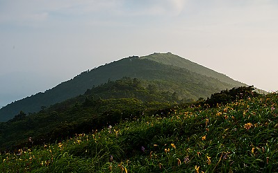 덕유산 원추리!