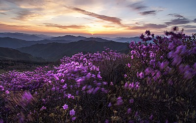 덕유산의 봄!