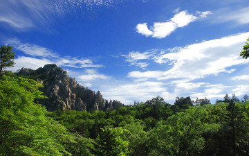 어느 여름날의 설악