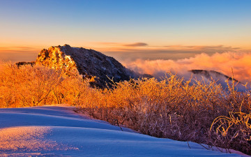 이런날이 또 올까 싶네요
