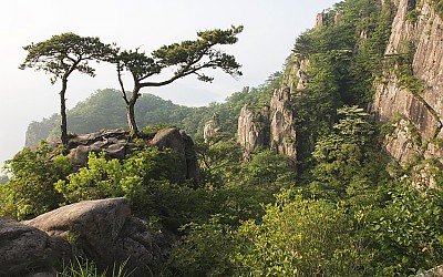 대둔산 신록