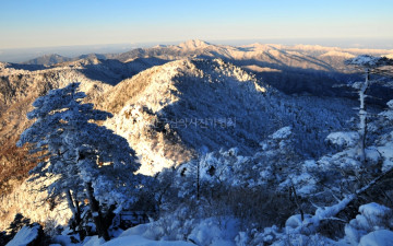 권맹호 고문님 70회 생신 기념 산행