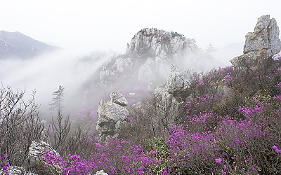 주작산의 봄