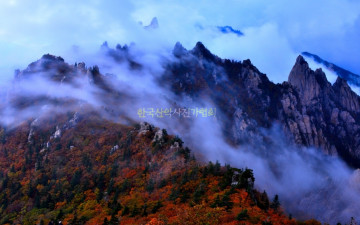 붉게 물든 공룡