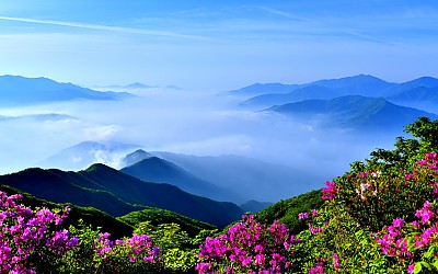 지리봄