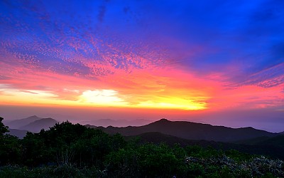 운장 성대봉 320차 산행