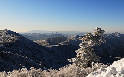 덕유설경