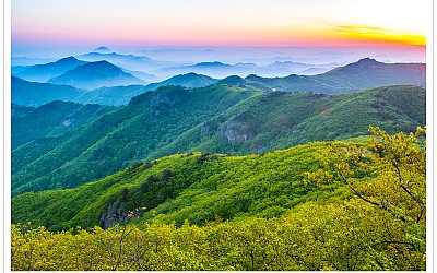 운장산의 봄
