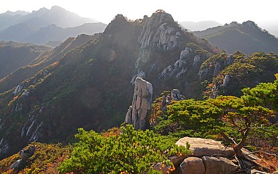 겨울을 기다리며