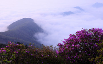 지리산 노고단에서