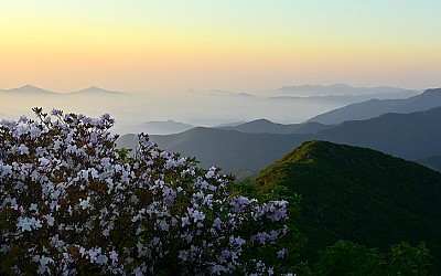 가지산 실록