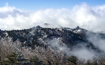 제석봉에핀 빙화 !