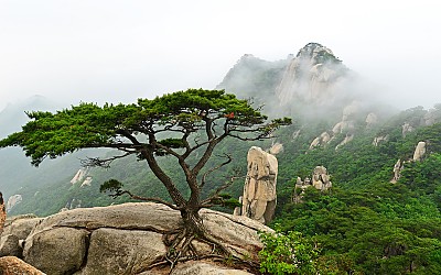 도봉산