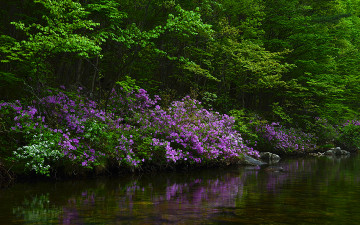 매일 이날처럼...