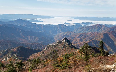 가을 풍경