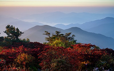 반야봉