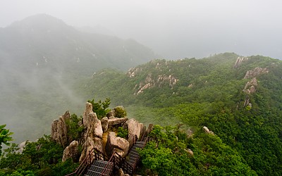 매화산 상황