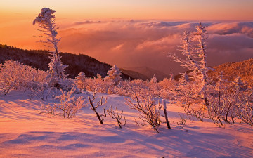 점봉산이 없다.