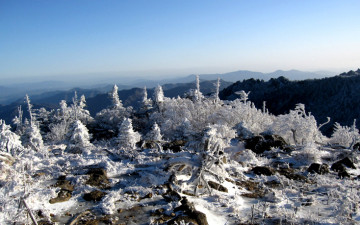 지리산    3월 14일  입니다