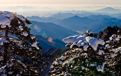 해동