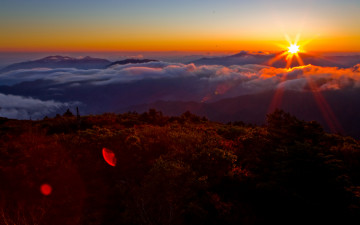감동이 밀려옵니다.