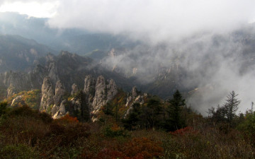 5일오후소청에서