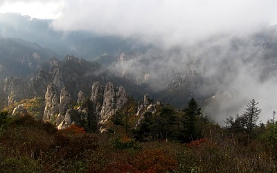 5일오후소청에서