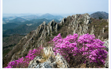 남도의 금강 / 달마산에 봄이 오면
