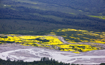 알라스카 매킨리봉-3