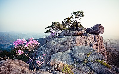대둔산의 봄