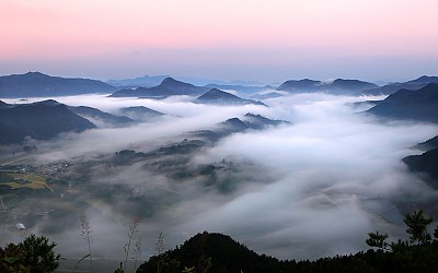 內島운해..