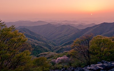 무등산의 봄