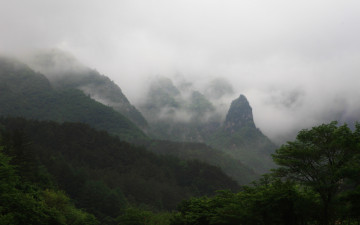안개낀 덕항산 계곡