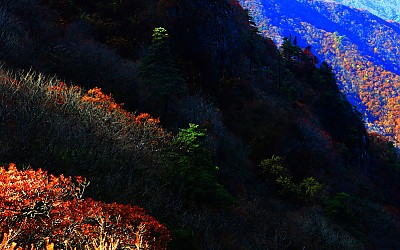 덕유의 가을..