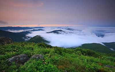 노고단의 여름