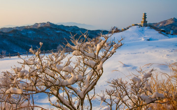 대구도 눈이 왔는데...