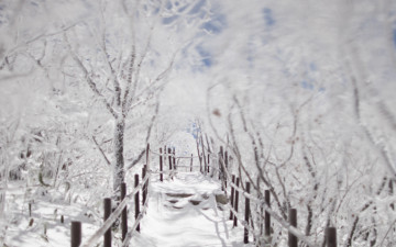 내장산 전시회에 선배님들 및 산사진 동료 분들을 초대합니다.