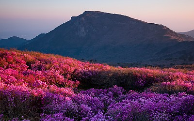 비슬산