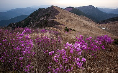 화왕산