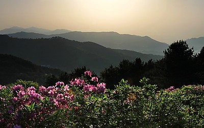 봉화산