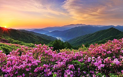 바래봉