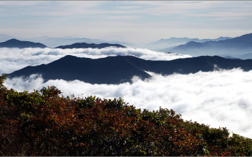덕유산의 가을