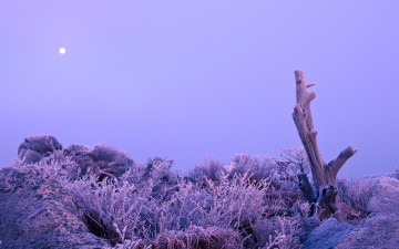 요세미티 국립공원