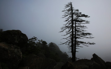 지리산 천왕봉 아래에서