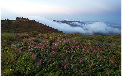 덕유산의 여름