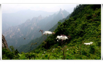 설악 공룡능선 산행중에...