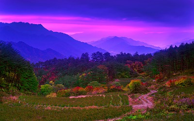 인제 응봉산