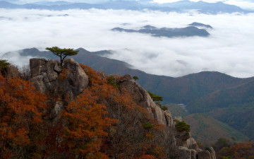 지난 대둔산의 가을