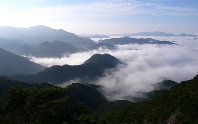속리산에서..