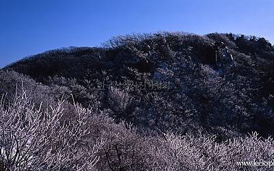 속리산 상고대